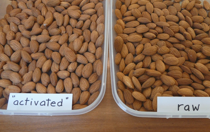 Activated Almonds | atelier-yuwa.ciao.jp