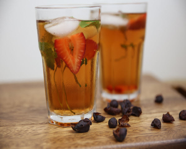 Cascara Iced Ldspe