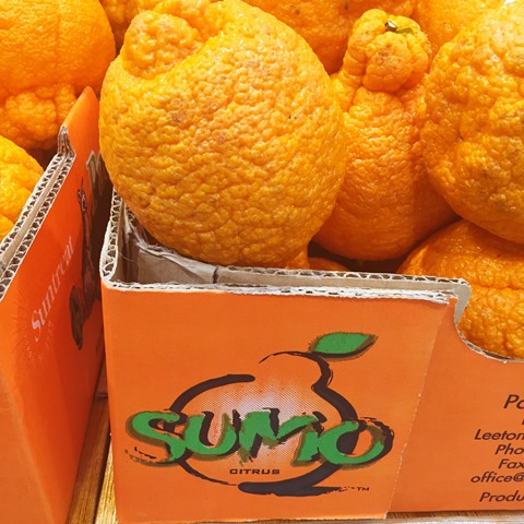 Sumo Citrus with Logo