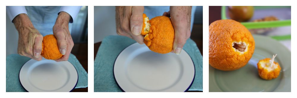 Sumo citrus – don't judge this fruit by its 'cover'! - Catherine Saxelby's  Foodwatch