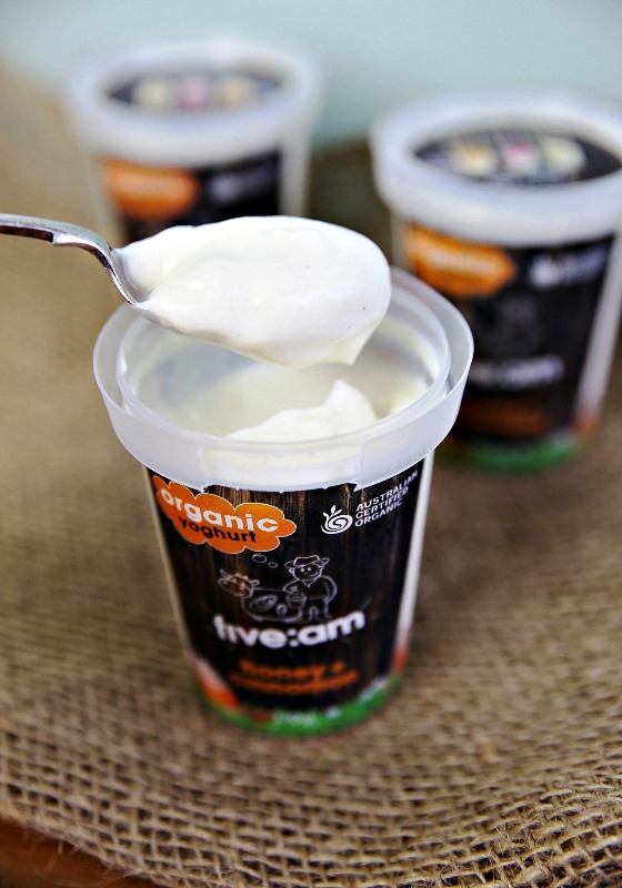 Yoghurt 5AM Honey Cinn tub