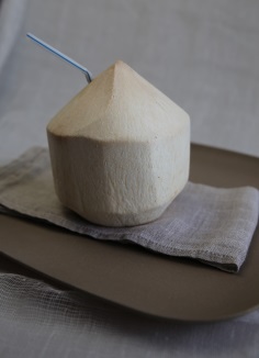 fresh coconut with straw 2