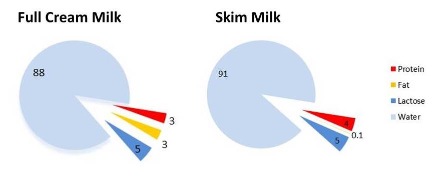 whole milk vs skim sugar content