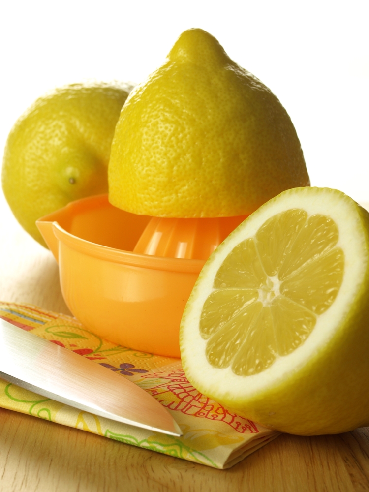 Lemons Juicer SS 113911249