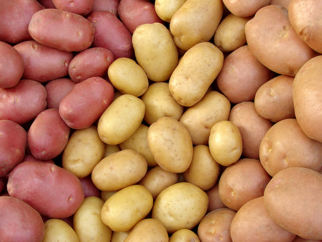 White Potato Types & Tips, White Potatoes