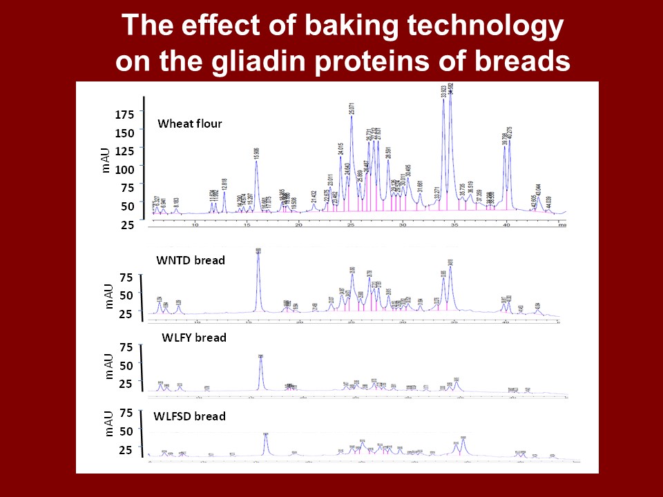 Effect of fermentation on gliadin composition