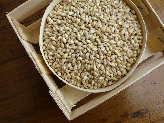 Barley pearled loose box