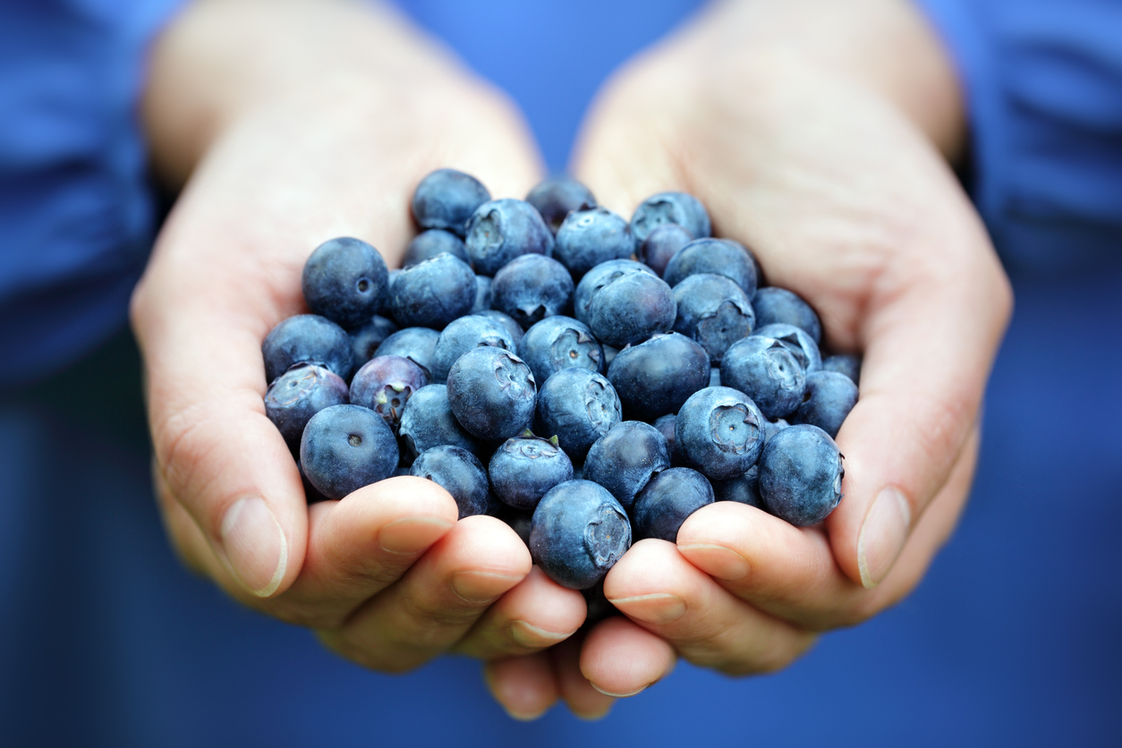 Blueberries Handful 1255x837