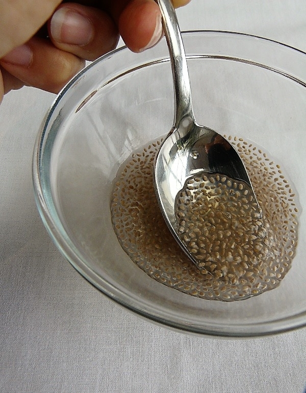 Chia seeds goop with spoon