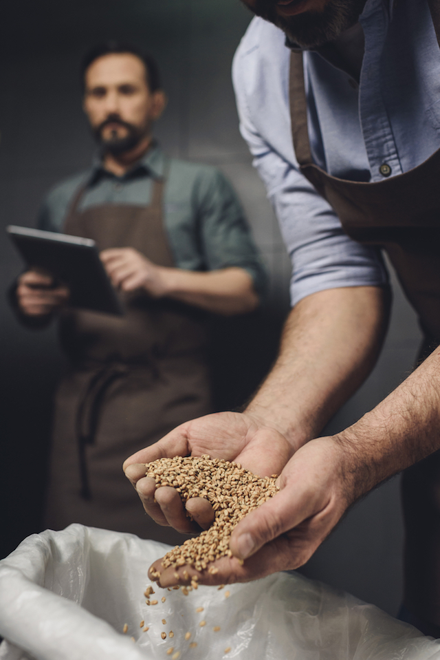 SMALL Brewery worker malted barley